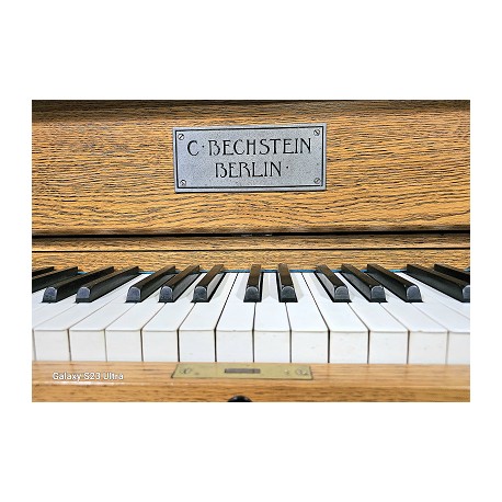 Pianino C. BECHSTEIN mod. v9